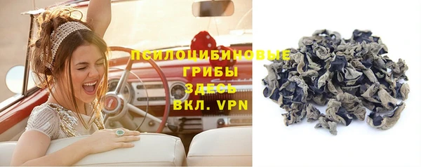СК Новокубанск