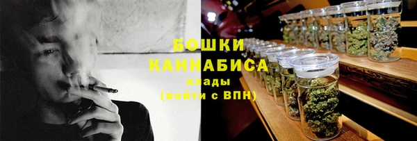 ПСИЛОЦИБИНОВЫЕ ГРИБЫ Новодвинск