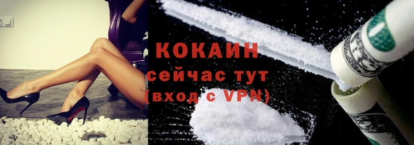 шишки Новозыбков