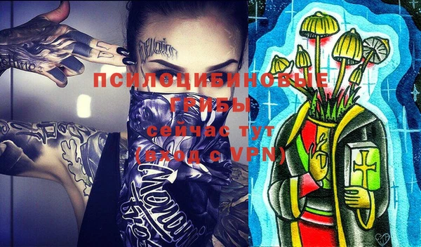 ПСИЛОЦИБИНОВЫЕ ГРИБЫ Новодвинск