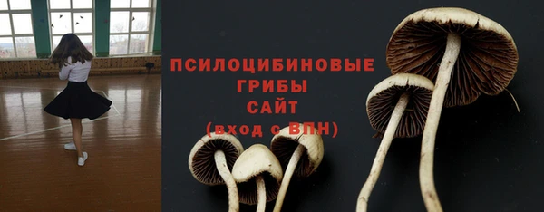 ПСИЛОЦИБИНОВЫЕ ГРИБЫ Новодвинск