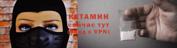 шишки Новозыбков