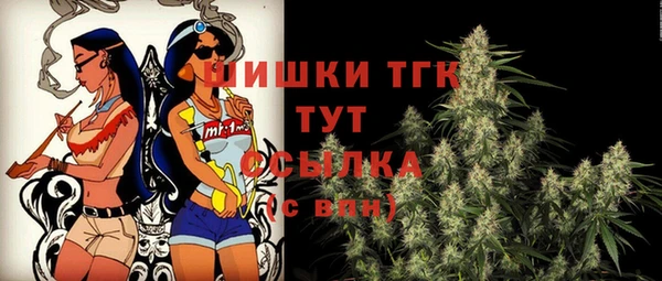 apvp Няндома