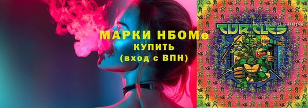шишки Новозыбков