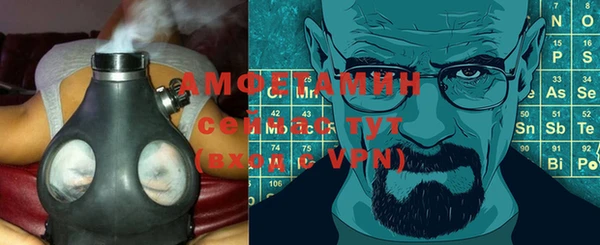 шишки Новозыбков